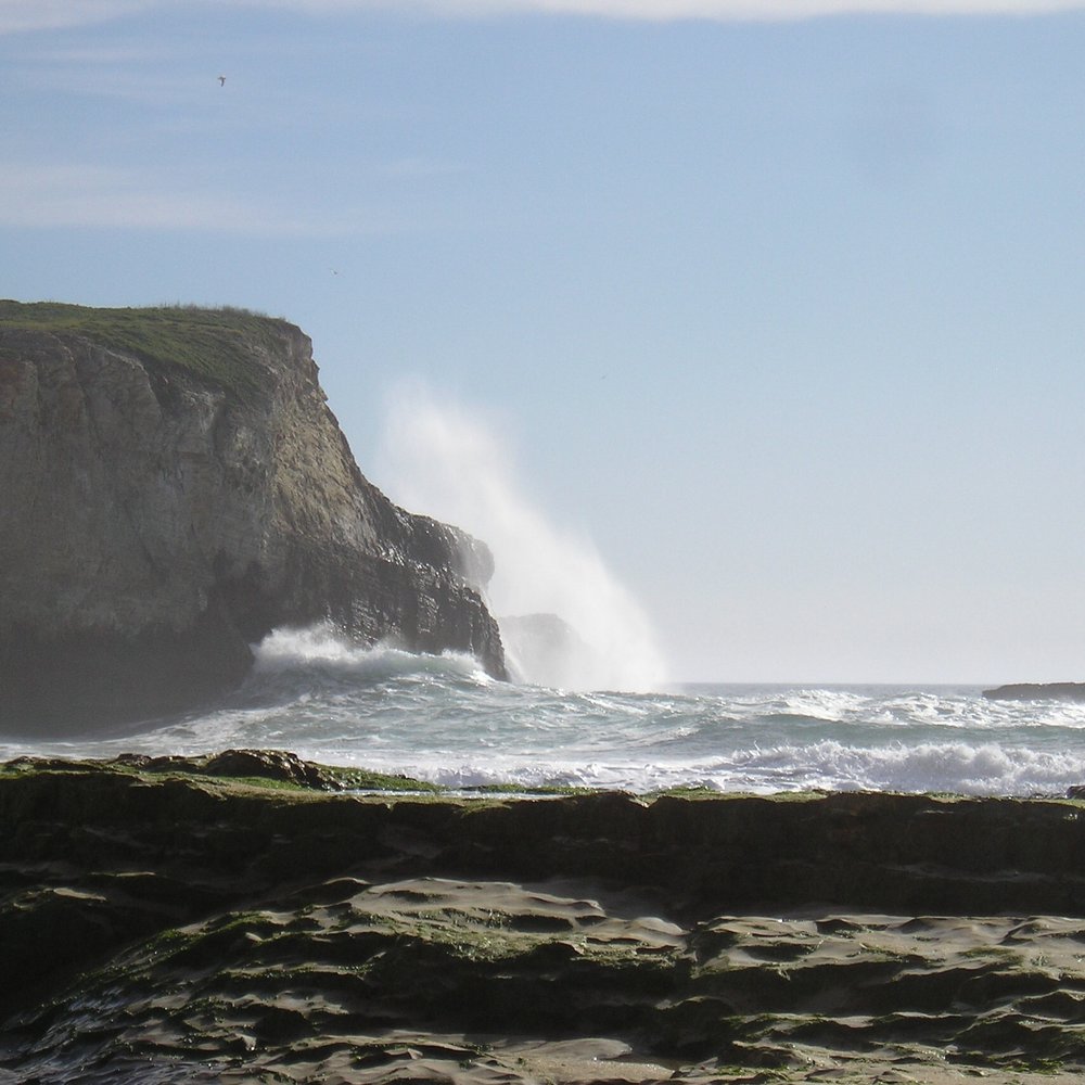 Winter waves
