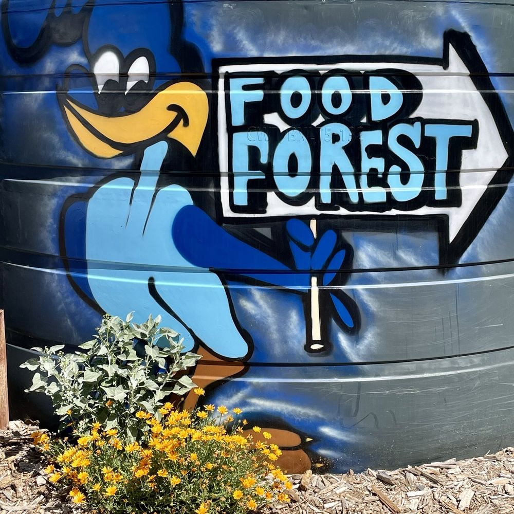 Arizona Worm Farm - Attraction Farms Near Me - Phoenix, Arizona Arizona Worm Farm - Attraction Farms Near Me - Phoenix, Arizona