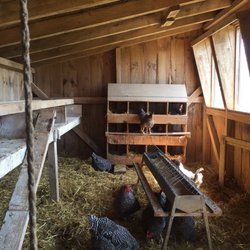 Beautiful setup inside Chicken shack.