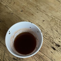 One picture that shows the MANY bugs that flew into my drink inside the house- La Casa De Joy, at Living Waters