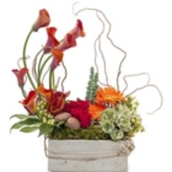 Bill Bush Flowers - Photo