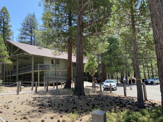 Kings Canyon National Park by null
