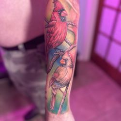 Hamptons, Ink - Bird tattoo