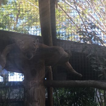 Naples Zoo - Zoos Near Me - Naples, Florida