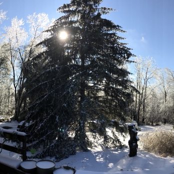 Arbor Artist - December 2020 Snow - Tree Services Near Me - Leesburg, Virginia Arbor Artist - December 2020 Snow - Tree Services Near Me - Leesburg, Virginia