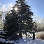Photo of Arbor Artist