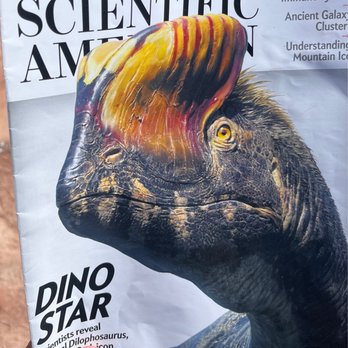 Dinosaur Tracks - Magazine featuring this location - Landmarks & Historical Buildings Near Me - Tuba City, Arizona