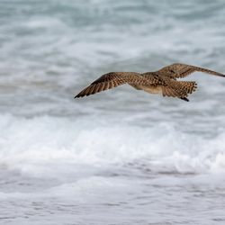 Fort Ord Dunes State Park