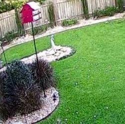 Sean's Landscaping by null