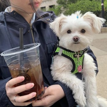 Quickly - Ann Arbor - Bubble Tea Near Me - Ann Arbor, Michigan