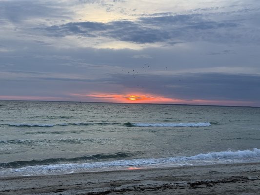 Sea Crest Beach Resort by null