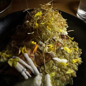 Byblos Miami - Chargrilled Chicken Supreme - Mediterranean Near Me - Miami Beach, Florida