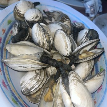 Wooden Shoe - Steamers - Seafood Near Me - Dennis Port, Massachusetts Wooden Shoe - Steamers - Seafood Near Me - Dennis Port, Massachusetts
