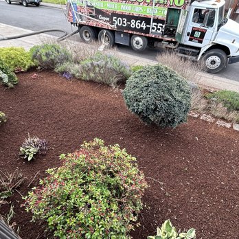 Two Guys Bark Blowing - Our scruffy yard looks terrific! - Landscaping Near Me