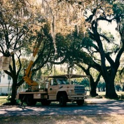 Bayou Tree Service
