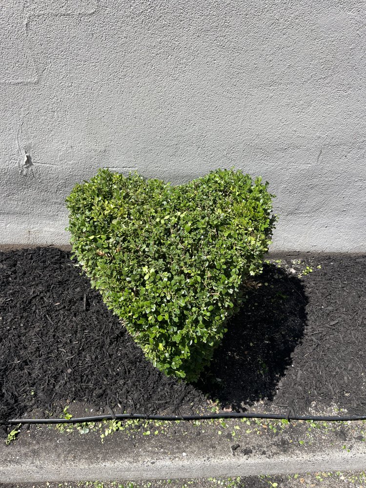 EAG Maintenance - EAGLE Landscaping & Lawn Care - tree service in Staten Island, NY