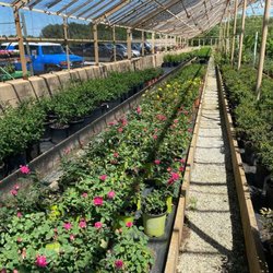 Trees and Plants Nursery and Garden Center