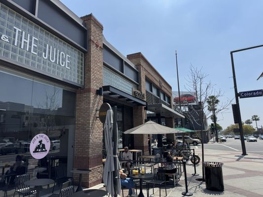 Shake Shack Glendale by null
