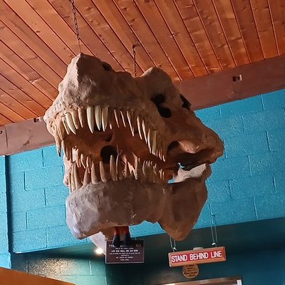 Grand Canyon Caverns & Inn by null