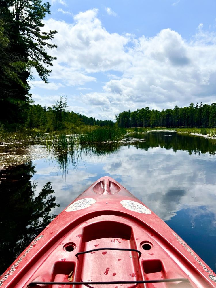 Pinelands Adventures Logo