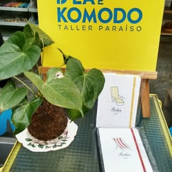 Isla de Komodo - Taller Paraíso