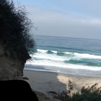 La Jolla Trail - Cropped out a stranger, but even near the end, we all had difficulty getting through the mud and steep pathway. - Hiking Near Me - La Jolla, California La Jolla Trail - Cropped out a stranger, but even near the end, we all had difficulty getting through the mud and steep pathway. - Hiking Near Me - La Jolla, California