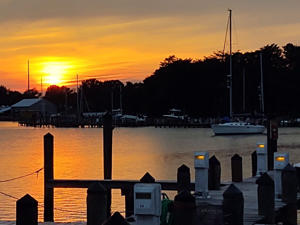 OYSTER BAY Updated September 2024 126 Photos 800 Oyster Bay Pl