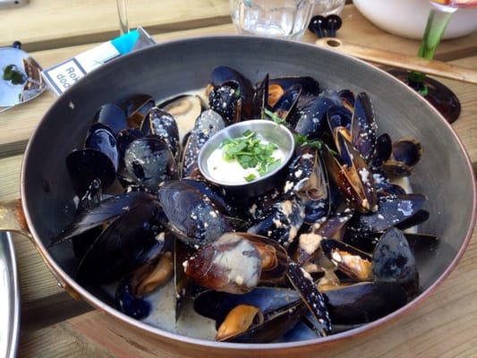 Mossel & Gin by null