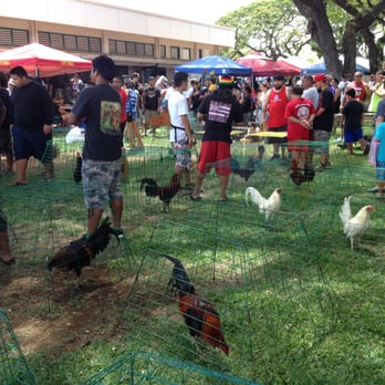 Hawaii Pet Show - The chicken show! - Festivals Near Me - Ewa Beach, Hawaii Hawaii Pet Show - The chicken show! - Festivals Near Me - Ewa Beach, Hawaii