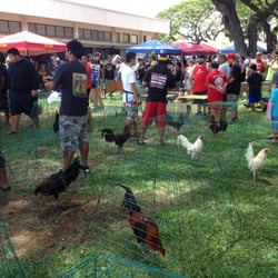 Hawaii Pet Show - The chicken show!