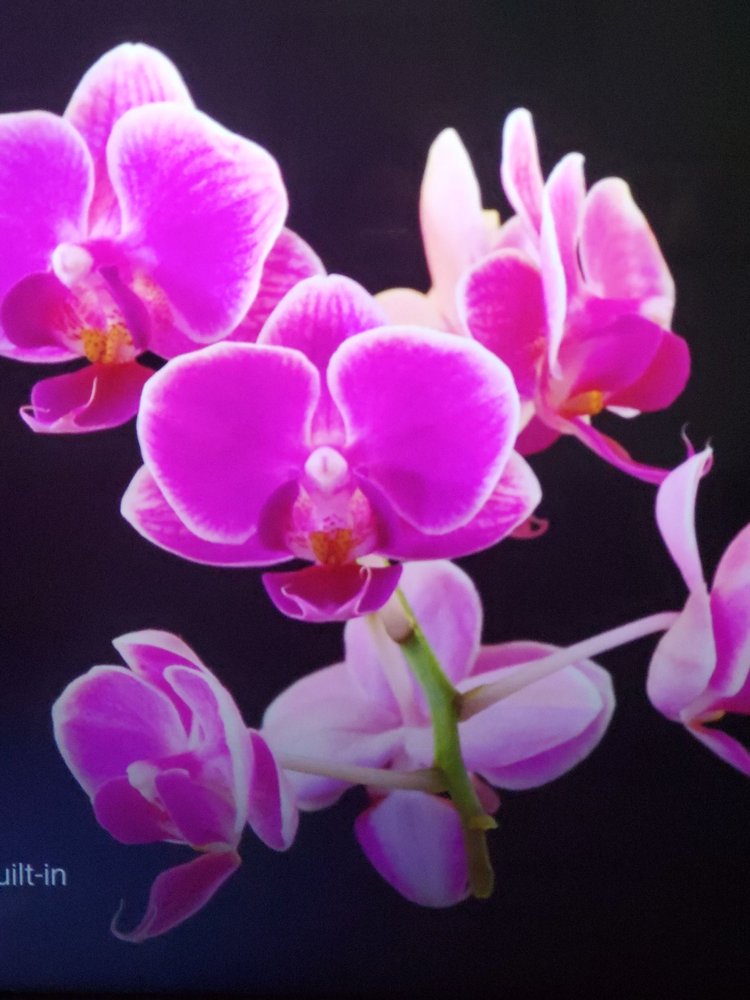 ALLAN REIDER STUDIO Updated May 2024 36 Photos & 13 Reviews 2174