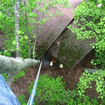 Complete Tree Service - Tree Services Near Me