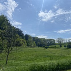 Allardale Park