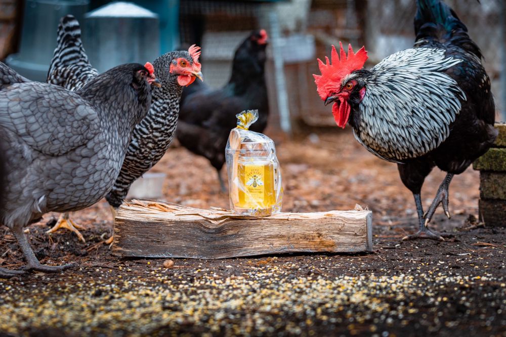 Do Re Bee - Honey Farm - beekeeping in Marlboro Township, NJ