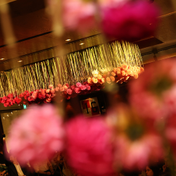 Deluca's Florist - Hanging installation