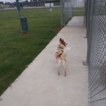 Sonic Drive-In - My happy dog loving this safe dog park. - Burgers Near Me - Brinkley, Arkansas Sonic Drive-In - My happy dog loving this safe dog park. - Burgers Near Me - Brinkley, Arkansas