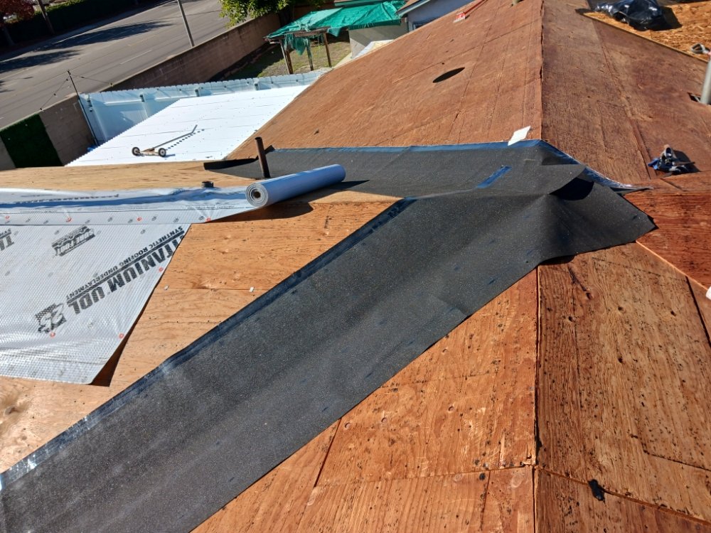 Slide of Cesar Arenas 