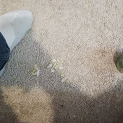 Taco John's - Lettuc