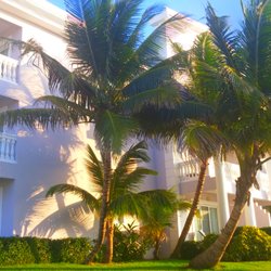 Sunny Vacations