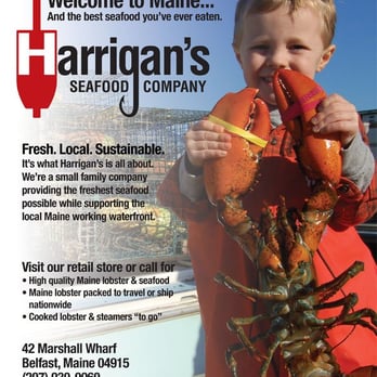 Harrigan's Seafood - a boy holding a lobster - Seafood Markets Near Me - Belfast, Maine Harrigan's Seafood - a boy holding a lobster - Seafood Markets Near Me - Belfast, Maine
