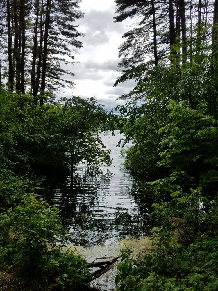 Gates Pond Image
