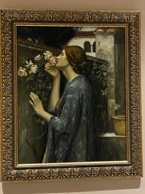 Café Demetrio by null Café Demetrio by null