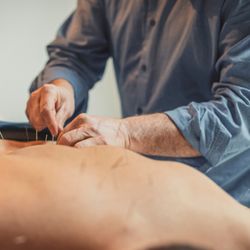 Lee's Acupuncture & Herb Clinic