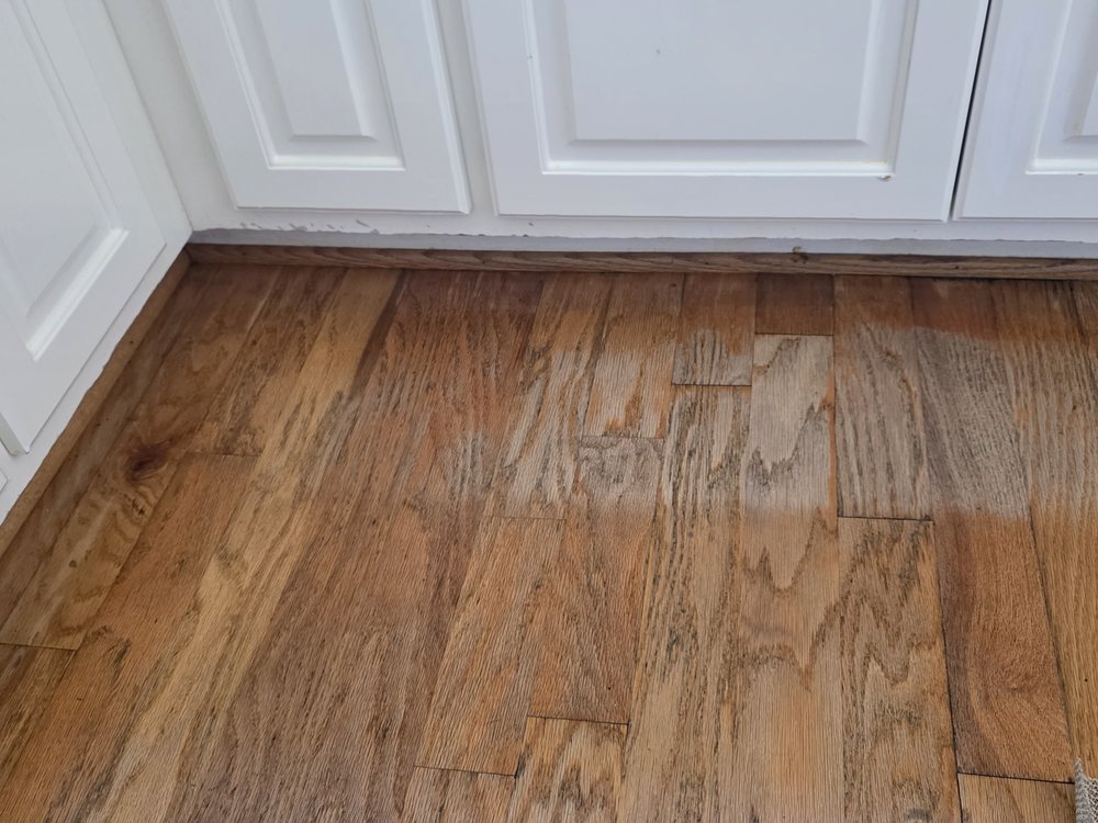 Slide of Dirtydogs Property Solution