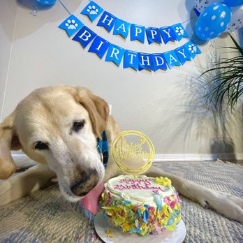 Happy Tails Barkery - Birthday cake - Pet Stores Near Me - Gilbert, Arizona