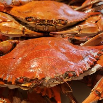 Harbour House Crabs - a close up of a tray of crabs - Seafood Near Me - Harrisburg, Pennsylvania