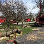 Photo of Arbor Care Solutions