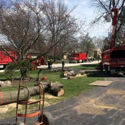 Arbor Care Solutions - Multiple tree removal at residential property ' s