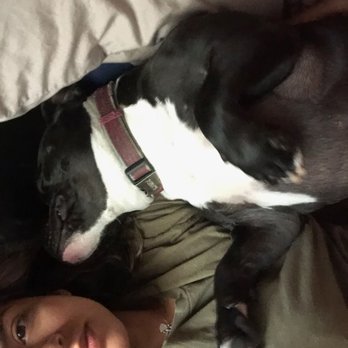 West Coast Paw Sitterz - Bed time - Pet Transportation Near Me West Coast Paw Sitterz - Bed time - Pet Transportation Near Me