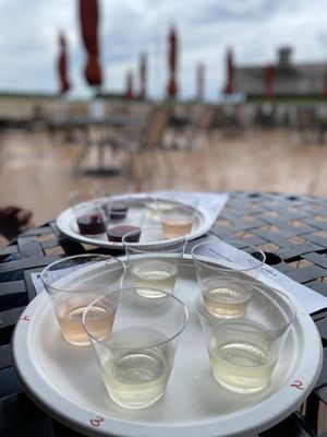 Pindar Vineyards by null